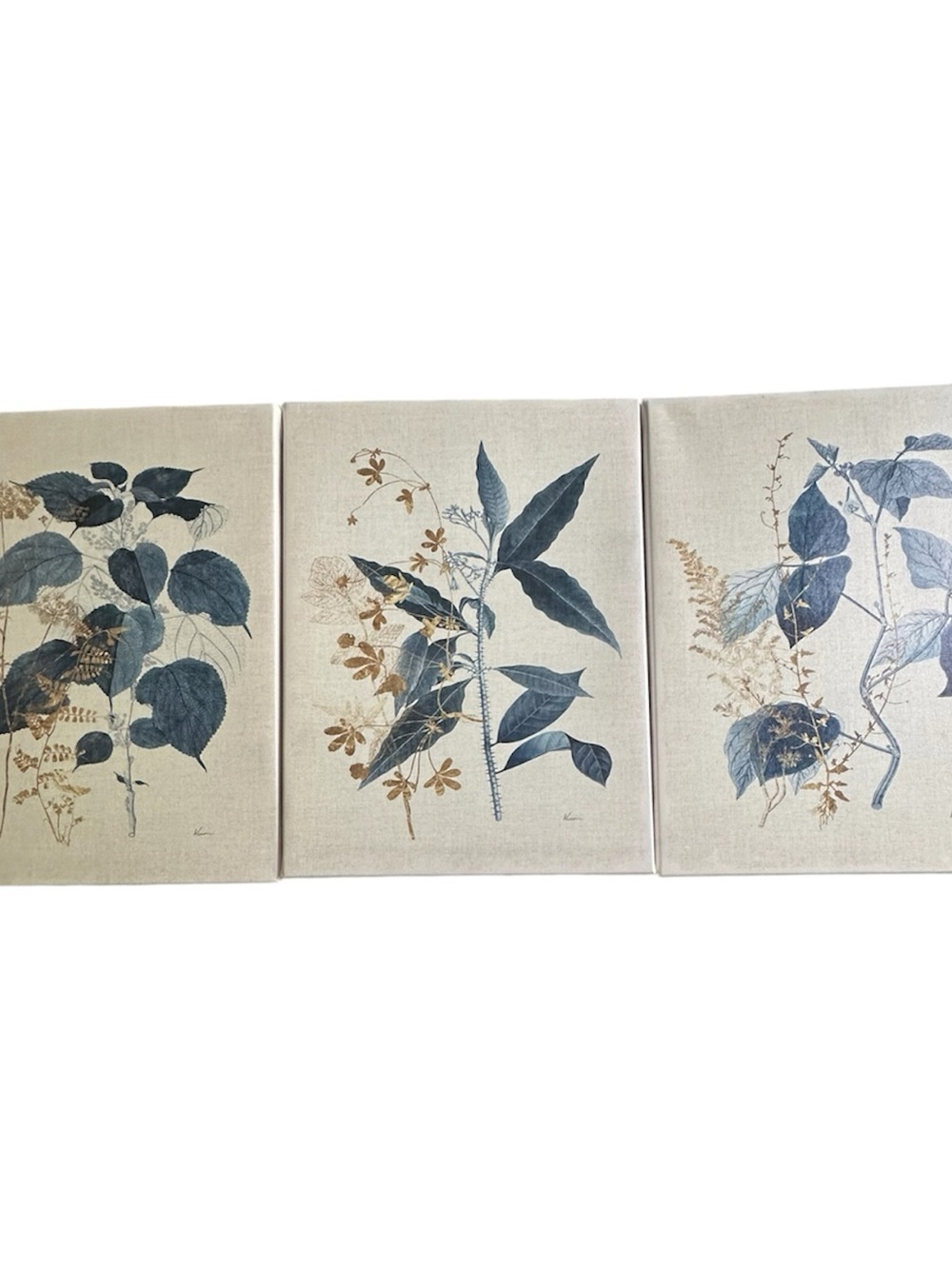 3 Piece Floral Canvas Prints Size 15.5”x 11.5” each